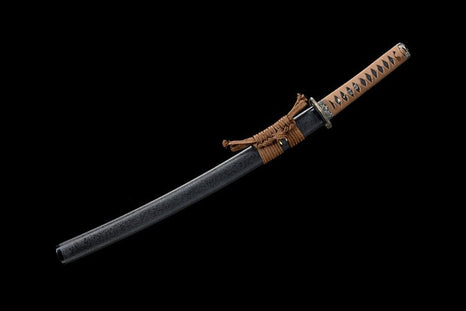 Wakizashi T10 Nichibotsu