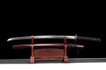 Katana en acier 1095 Akairo